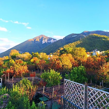Casa Fifina Rooms Sant'Egidio del Monte Albino Exteriér fotografie